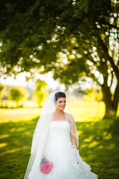 Noiva no dia do casamento — Fotografia de Stock