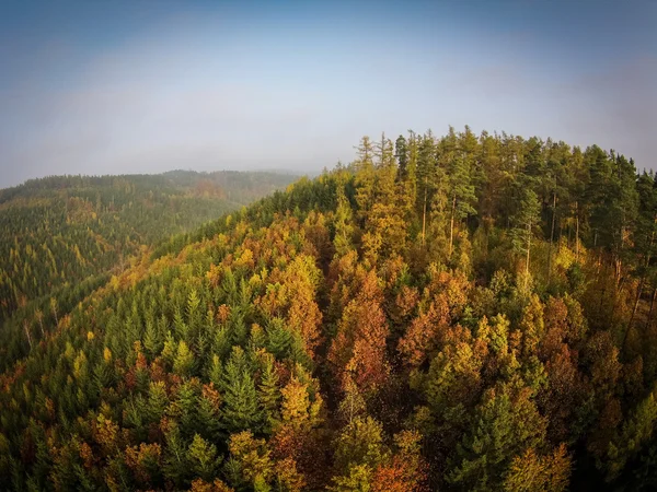 Autunno foresta vista aerea — Foto Stock