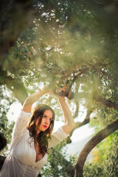 Brunette woman amid olive trees — Stock Photo, Image