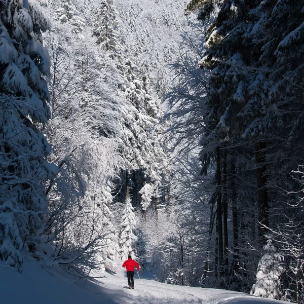 Jeune homme ski de fond — Photo