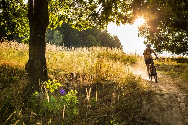 Cyklista jede rychle z kopce s prach zvyšuje jeho — Stock fotografie