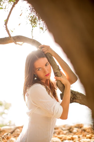 Aantrekkelijke, jonge brunette op het strand, te midden van olijfbomen — Stockfoto