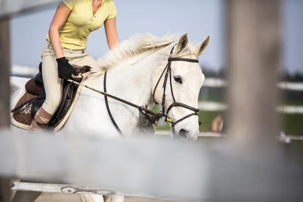 Show jumping mladá žena s koněm — Stock fotografie