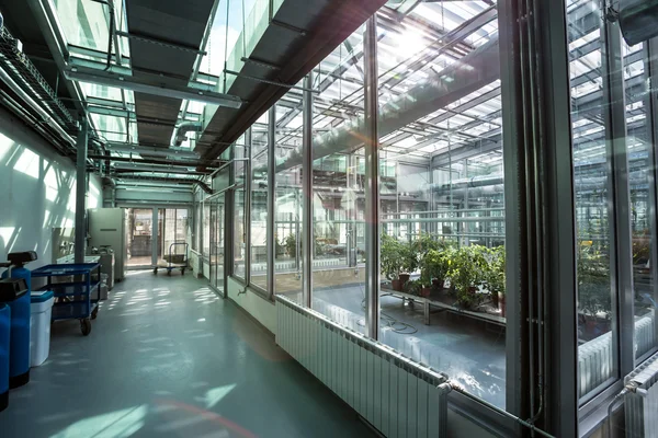 Inside a greenhouse view — Stock Photo, Image