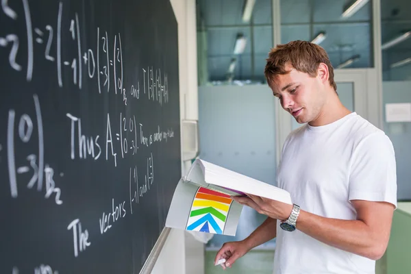 Handsome college student solving a math problem - Stock Image - Everypixel