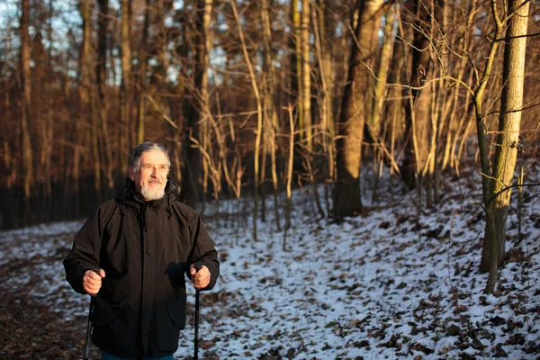 Äldre man stavgång, njuta av naturen, den friska luften, — Stockfoto