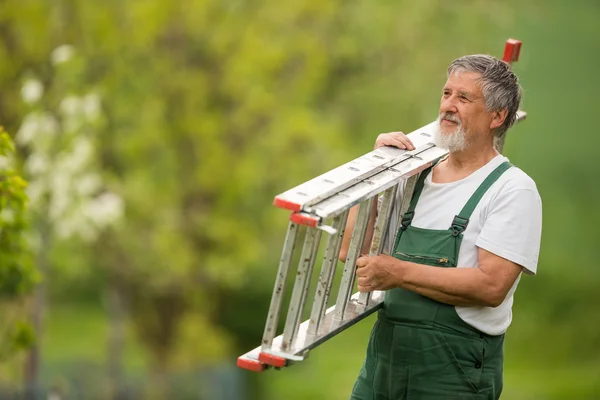 Senior man trädgårdsarbete i sin trädgård (färg tonad bild) — Stockfoto