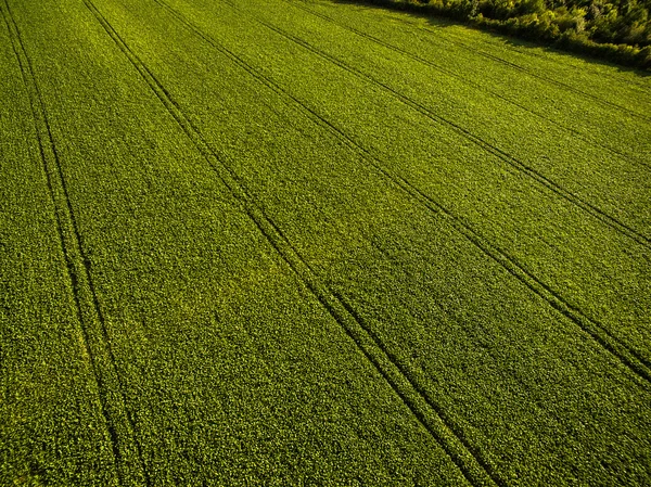 Farmland from above - aerial image of a lush green filed — Stock Photo, Image