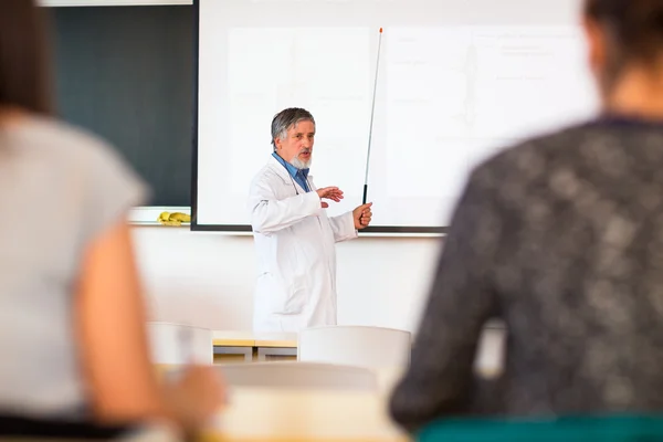 Professor de química sênior dando uma palestra — Fotografia de Stock