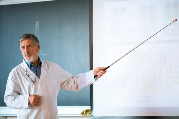 Professor de química sênior dando uma palestra — Fotografia de Stock