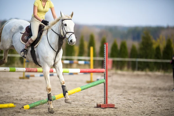 Femme saut d'obstacles avec cheval — Photo