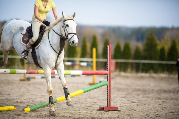 Mulher show pulando com cavalo — Fotografia de Stock