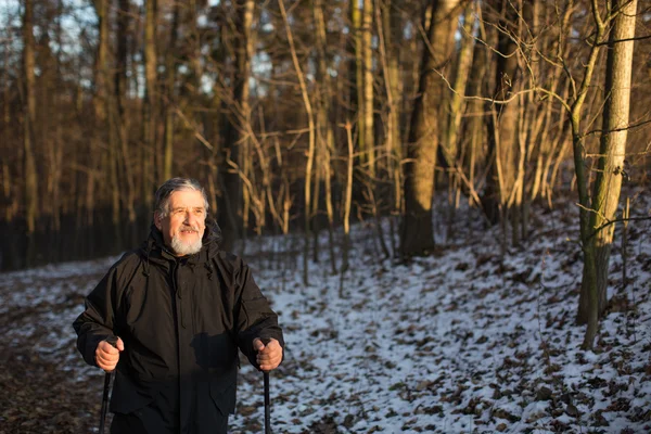Starszy mężczyzna nordic walkingu, ciesząc się na zewnątrz, świeże powietrze, — Zdjęcie stockowe