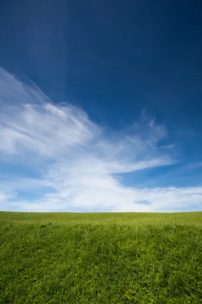 Mooie zomer veld met blauwe hemel — Stockfoto