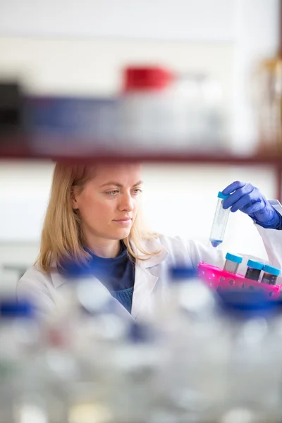 Retrato de una investigadora investigando en un laboratorio — Foto de Stock