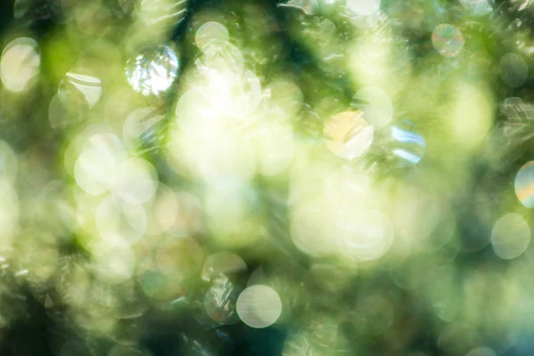 Green bokeh abstract light background — Stock Photo, Image