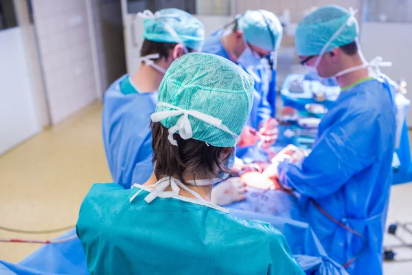 Squadra di chirurghi che eseguono un'operazione su un paziente — Foto Stock