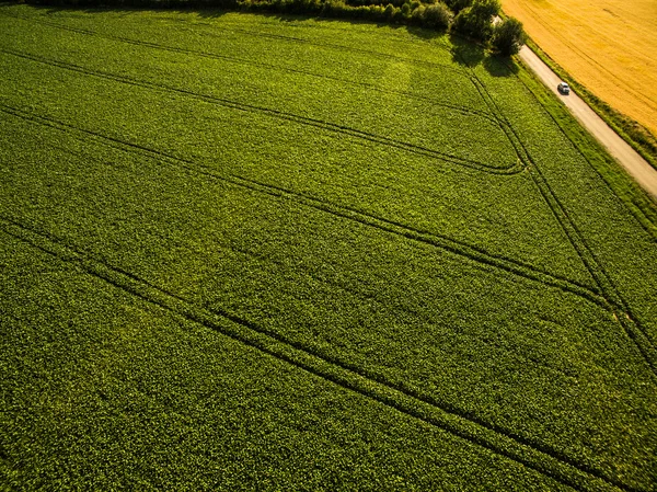 Las tierras de cultivo de arriba - la imagen aérea de un verde exuberante archivado —  Fotos de Stock