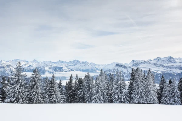 Esplêndido cenário alpino de inverno com altas montanhas — Fotografia de Stock