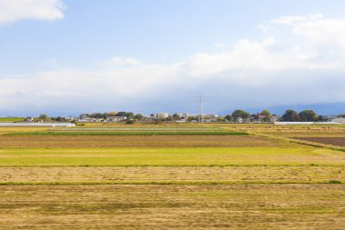 Japonya'da tarım arazileri