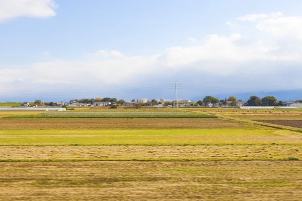 Japonya'da tarım arazileri — Stok fotoğraf