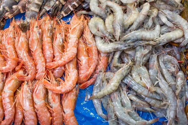 Marché des produits de la mer — Photo