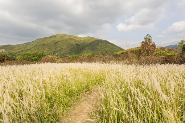 Sunny day at farmland — Stock Photo, Image