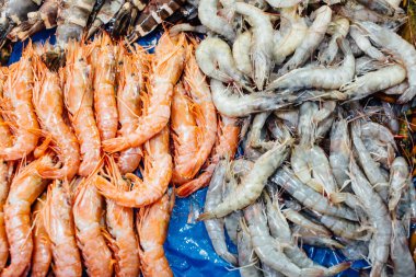 Deniz ürünleri pazarı Kore