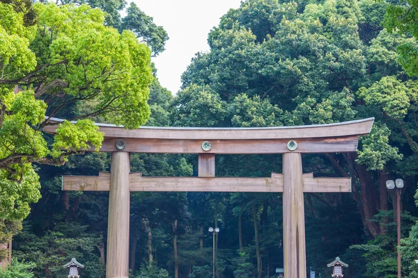 Meiji Shrine park — Stock fotografie