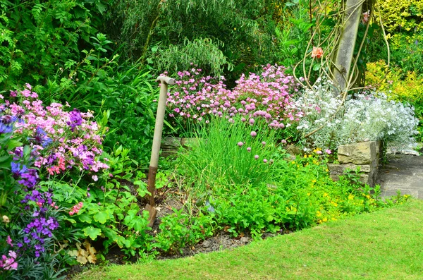 English country garden — Stock Photo, Image