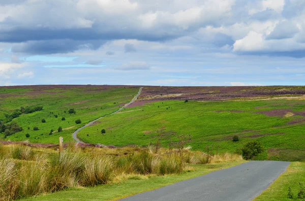 North York moors Yorkshire İngiltere