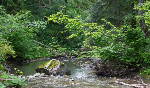 Fridfulla skogen stream flöde ner bland stenar — Stockfoto