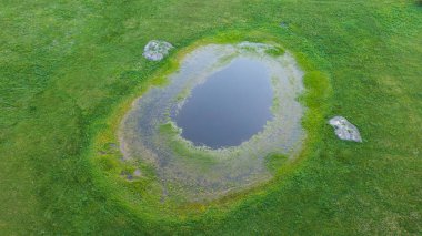 Springtime waterhole in fresh green meadow from drone, Podlaskie Voivodeship, POland, Europe