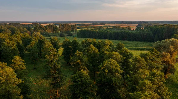 Orman ve tarlaların üzerinde renkli günbatımı günbatımı ışığı, Podlaskie Voyvodeship, Polonya, Avrupa