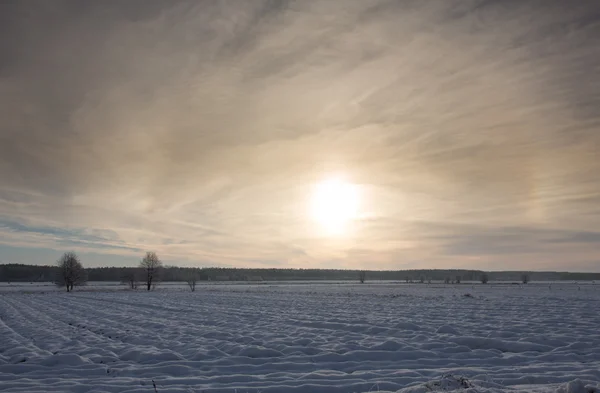 Coucher de soleil hivernal sur la prairie — Photo