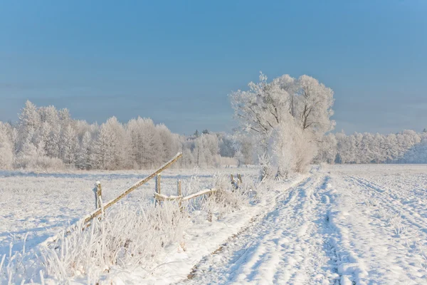 Paysage hivernal avec arbres enneigés et route — Photo