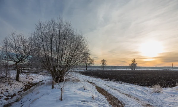 Pôr-do-sol de inverno sobre o prado — Fotografia de Stock