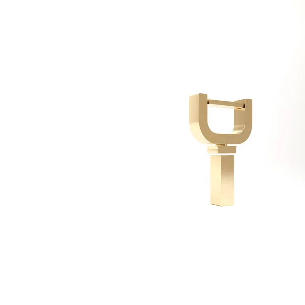 Ikona Gold Peeler Izolované Bílém Pozadí Nůž Čištění Zeleniny Kuchyňský — Stock fotografie