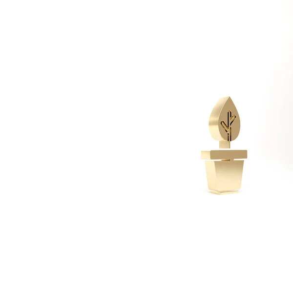 Gold Plant Topf Symbol Isoliert Auf Weißem Hintergrund Pflanze Die — Stockfoto