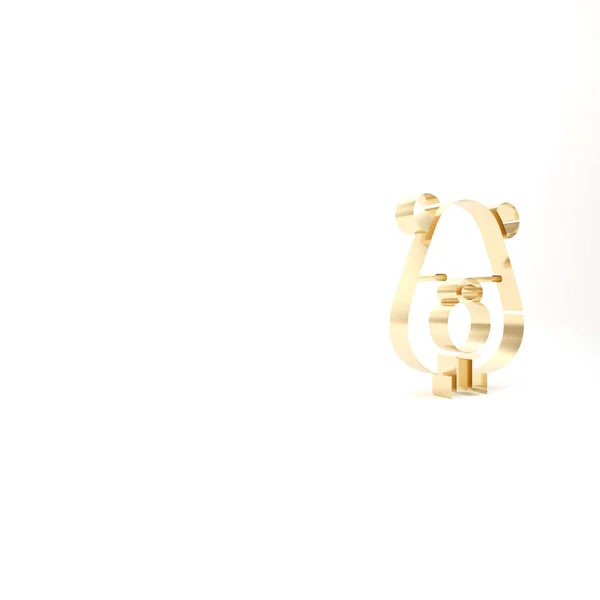 Gold Beaver Icona Animale Isolato Sfondo Bianco Illustrazione Rendering — Foto Stock