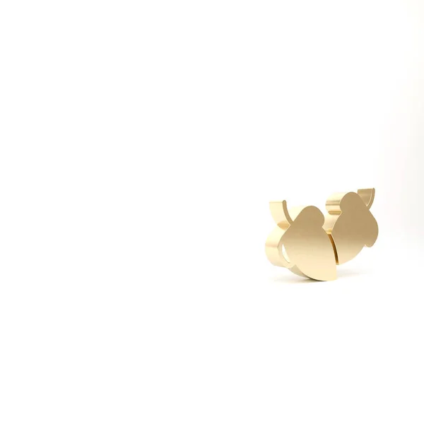 Золотая Икона Желудь Выделена Белом Фоне Рендеринг — стоковое фото