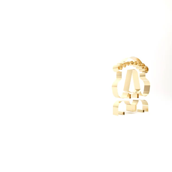 Золотая Украинка Традиционной Одежде Икона Изолирована Белом Фоне Рендеринг — стоковое фото