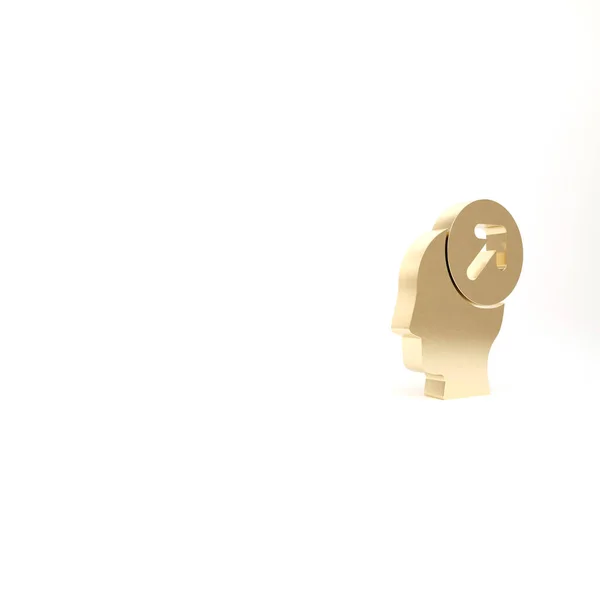 Ícone Conceito Caça Gold Head Isolado Fundo Branco Alvo Negócio — Fotografia de Stock