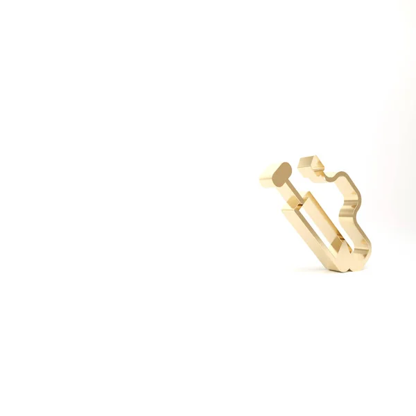 Icona Pompa Aria Gold Bicycle Isolato Sfondo Bianco Illustrazione Rendering — Foto Stock