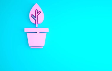 Mavi arka planda izole edilmiş, çömlek simgesindeki pembe bitki. Tencerede yetişen bir bitki. Saksı bitkisi işareti. Minimalizm kavramı. 3d illüstrasyon 3B canlandırma.