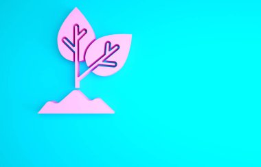 Pembe Bitki simgesi mavi arkaplanda izole edildi. Tohum ve tohum. İşaret bırakıyor. Yaprak doğası. Minimalizm kavramı. 3d illüstrasyon 3B canlandırma.