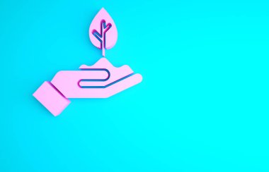 Çevre koruma ikonunun elindeki pembe bitki mavi arka planda izole edilmiş. Tohum ve tohum. Fidan dikiyorum. Minimalizm kavramı. 3d illüstrasyon 3B canlandırma.