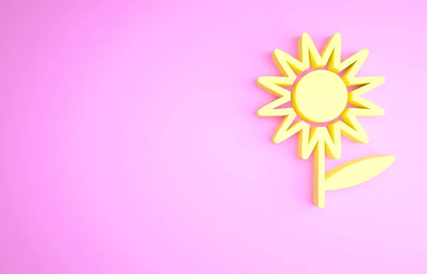 ピンクの背景に黄色のひまわりのアイコンが孤立 最小限の概念 3Dイラスト3Dレンダリング — ストック写真
