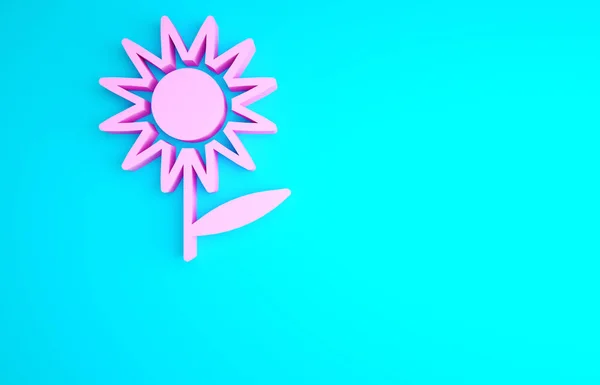 Icona Girasole Rosa Isolata Sfondo Blu Concetto Minimalista Illustrazione Rendering — Foto Stock