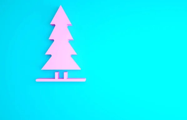 Pink Canadian spruce icon isolated on blue background. Forest spruce. Minimalism concept. 3d illustration 3D render. — Stock Image Pink Canadian Spruce Icon Isolated Blue Background Forest Spruce Minimalism Stock Picture